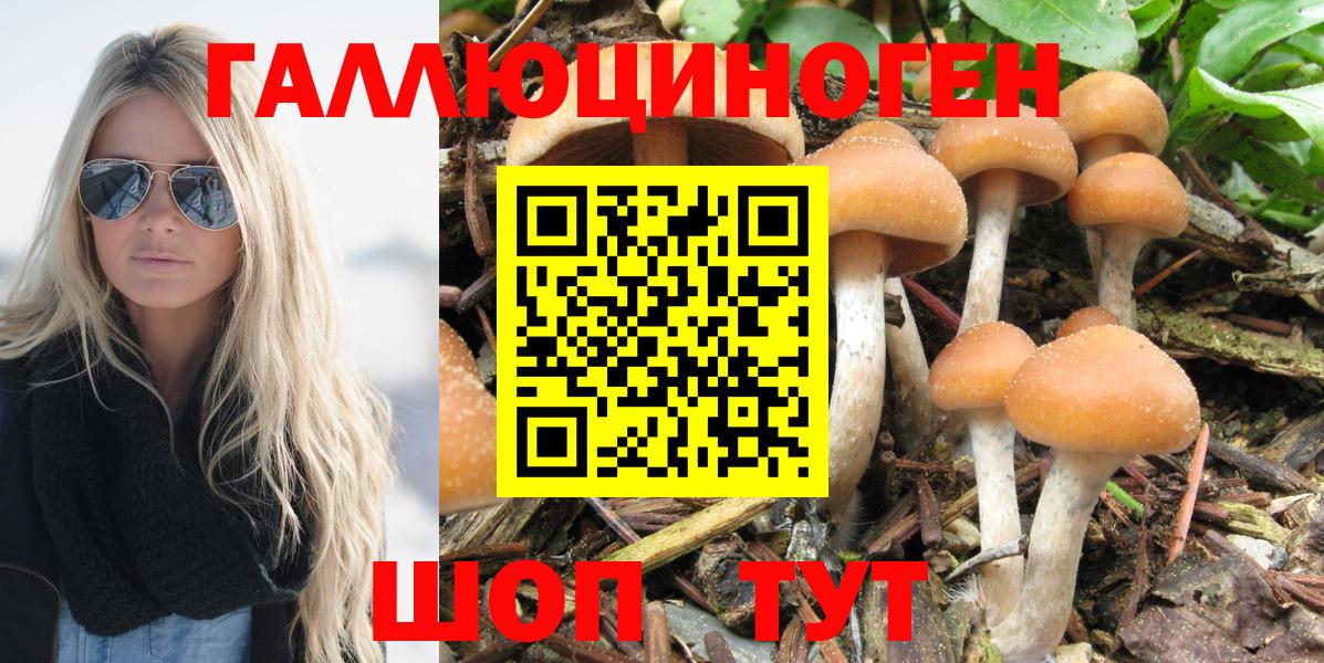 Псилоцибиновые грибы Psilocybe  Вход с VPN  магазин продажи   Углич 