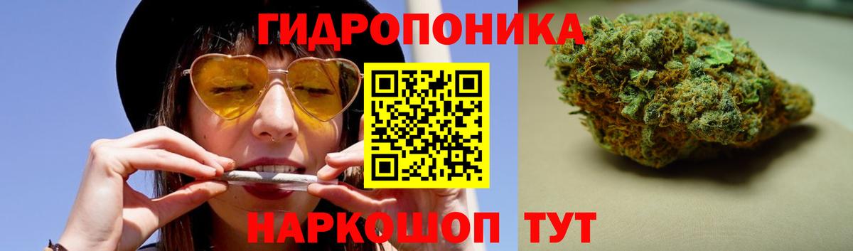 Канабис OG Kush Углич